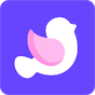 Dove Icon Pack 图标