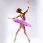 Ballettunterricht zu Hause APK Icon