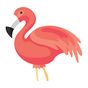 Flamingo Animator アイコン