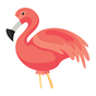 Ikon Flamingo Animator