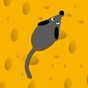 Игра для кошек: Мышь на экране
