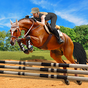Cheval Équitation Simulateur 3D: Jockey Mobile Jeu APK
