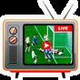 Diretta calcio - risultati in tempo reale APK