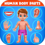 Иконка Части человеческого тела - Дошкольное обучение