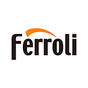 Ferroli CONNECT