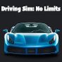Icoană apk Driving Sim: No Limits