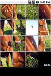 Imagem 1 do iSlider Horse Slide Puzzles