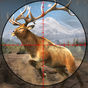 cerf chasseur games2020: jeux de tir d'animaux