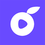 Berry Chat - Live video chat APK