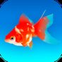 ポケット金魚：癒しの金魚育成アプリ アイコン