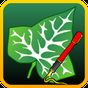 Ivy Draw: Vector Drawing APK