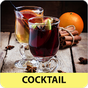 Cocktail recipes offline app. Cocktail & mocktail. APK