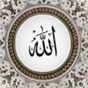 Litequran APK