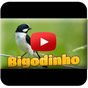 Bigodinho Cantando Tui Tui APK