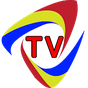 TVRO Online APK