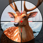 Hunting World: Deer Hunter Sniper Shooting APK