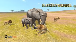 Картинка 12 Elephant Survival Simulator