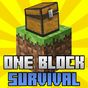 Biểu tượng One Block Survival Map