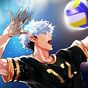 Иконка The Spike - Volleyball Story