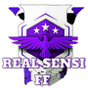 Εικονίδιο του REAL SENSI FF apk