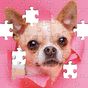 Jigsaw Puzzles for Adults HD アイコン