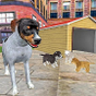 Dog Sim Pet Jeux d'animaux gratuits 2020