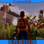 Guide for Grounded Survival  Game APK