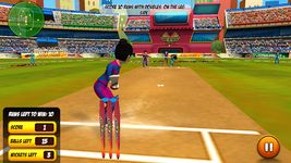 Bat Attack Cricket Multiplayer image 