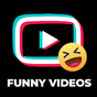 Icoană Snake Funny Videos - Comedy Video Indian App