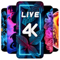 4K Wallpaper - 4D, Live Background, Auto changer의 apk 아이콘