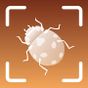 Insect Identifier - Bug identifier app APK
