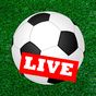 Ikon apk Football Live Score Tv