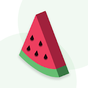 Melony: World First Watermelon Ripeness Detector