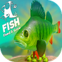Feed Fish: Grow Fish Tips의 apk 아이콘