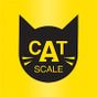 CAT Scale Locator