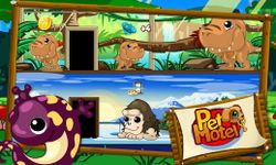 My Little PET HOTEL: Baby Pets image 