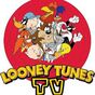 Ícone do Looney Tunes TV
