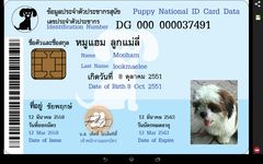 Pet Identity card image 3