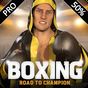 Boxing - Road To Champion Pro apk icono