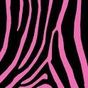 Ícone do Zebra Print Pink Theme