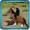 imagen horse jumping adventure 0mini comments