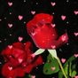 Free Rose Heart Live Wallpaper APK