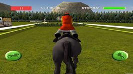 Horse Racing 3D image 7