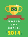 WorldCup2014-Photo Grid Plugin imgesi 1
