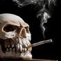Smoking Skull Live Wallpaper APK Simgesi