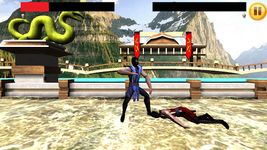 Imagem 3 do Kung Fu Fighting