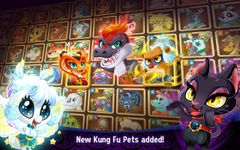 Gambar Kung Fu Pets 5