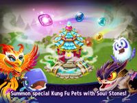 Gambar Kung Fu Pets 20