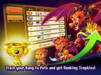 Kung Fu Pets imgesi 18