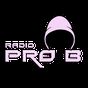 Radio Pro-B Romania APK